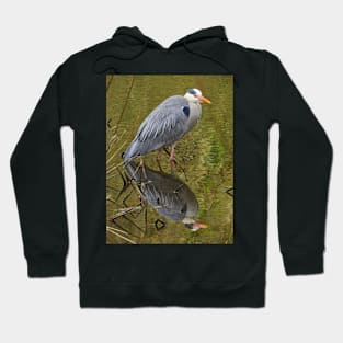 GREY HERON (Ardea cinerea) Hoodie